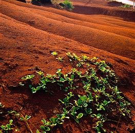 Epic商城曝光《赛博朋克2077》38GB大更新